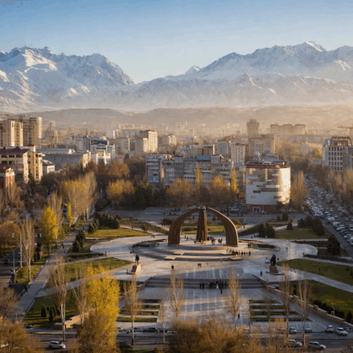 Kyrgyzstan Halts Inspections